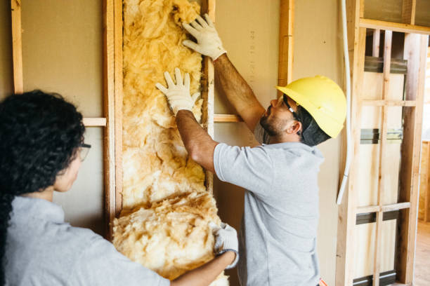 Best Insulation Repair Services  in Burlington, IA