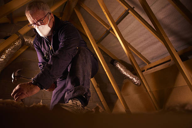 Best Attic Insulation Installation  in Burlington, IA