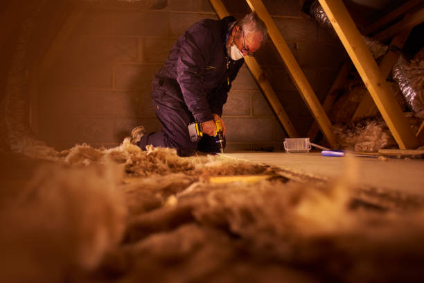 Best Insulation Contractors for Homes  in Burlington, IA